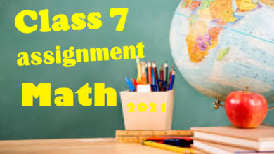 Class 7 Math Assignment Answer