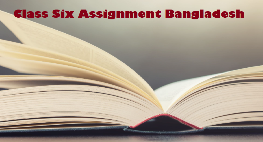 Class Six Assignment Bangladesh