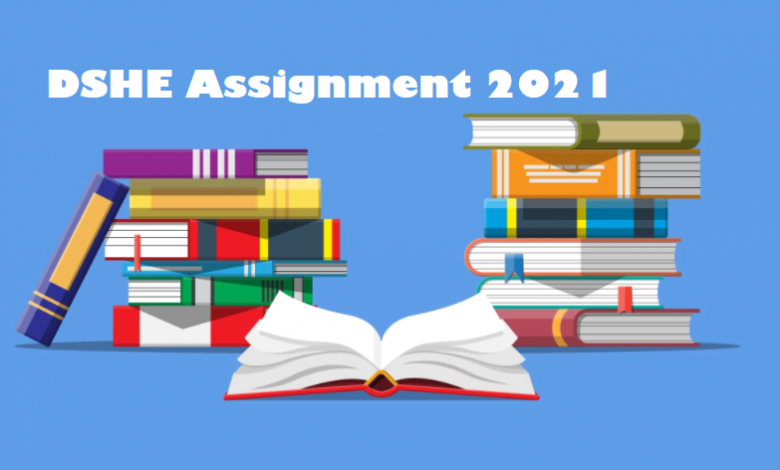 DSHE Assignment 2021